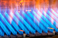 Blindmoor gas fired boilers